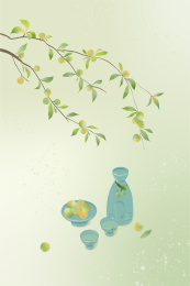 夏天的青杏和酒具