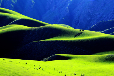 中国新疆伊犁喀拉峻人体草原