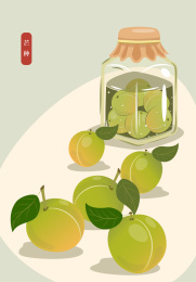 节气芒种青梅泡酒插画