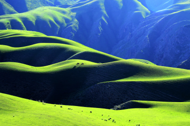 中国新疆伊犁喀拉峻人体草原