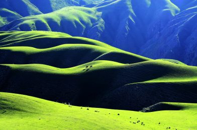 中国新疆伊犁喀拉峻人体草原