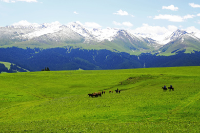 中国新疆伊犁喀拉峻大草原