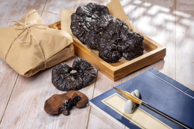 名贵中药灵芝特写