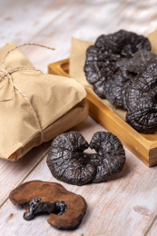 名贵中药灵芝特写