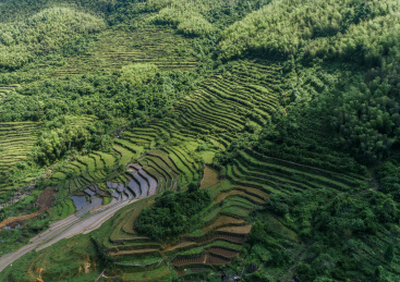 中国福建泉州南安梯田