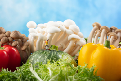 各类蔬菜鲜艳色彩蘑菇森林探险的旅行者