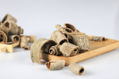 中药材厚朴白底图 厚朴