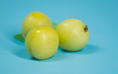 小黄杏各种背景角度棚拍