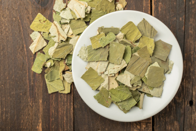 中国传统茶饮荷叶茶