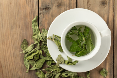 传统茶叶饮品薄荷绿茶