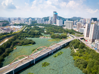 深圳洪湖公园,公路桥