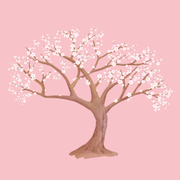樱花树画动漫图片