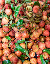 超市货架上摆放的妃子笑荔枝