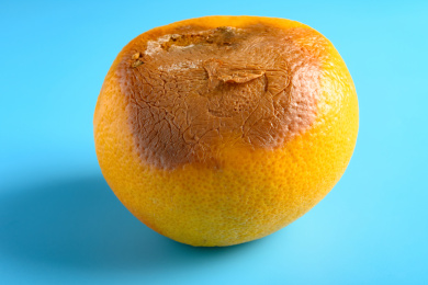 腐烂发霉西柚