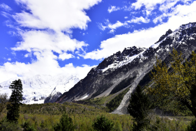 中国西藏林芝市波密县玉普乡的米堆冰川景区