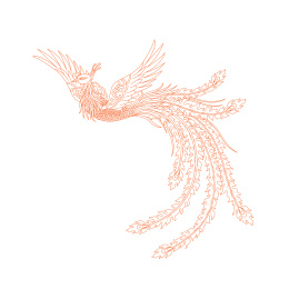 白色背景中的凤凰线条图案