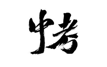 中考,中国汉字手写书法字体