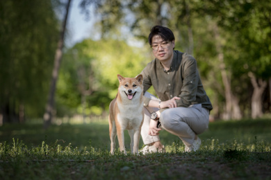 日本柴犬