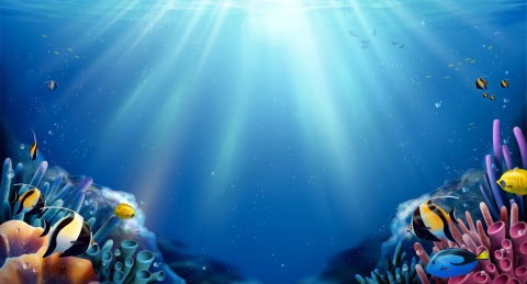 热带海底壁纸