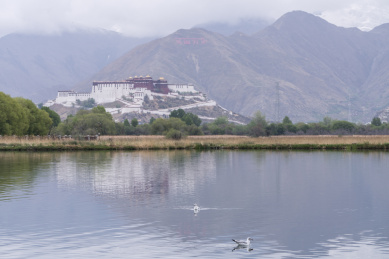 中国西藏拉萨拉鲁湿地国家级自然保护区
