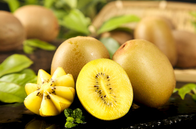 黑底上放着新鲜四川黄心猕猴桃