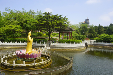 青岛湛山寺 放生池观音菩萨塑像