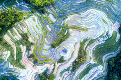 中国湖南娄底紫鹊界梯田