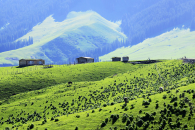  中国新疆特克斯县琼库什台村大草原