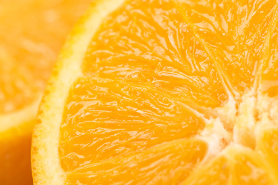 新鲜切开的橙子水果白底