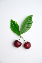 两颗樱桃和绿叶放在白色背景中
