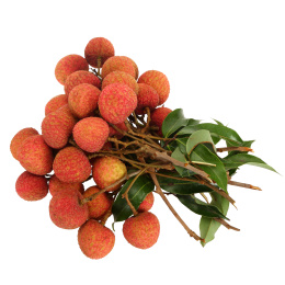 白背景上的新鲜荔枝