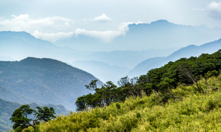 秋季云雾中的中国湖北神农架神农顶景区群山