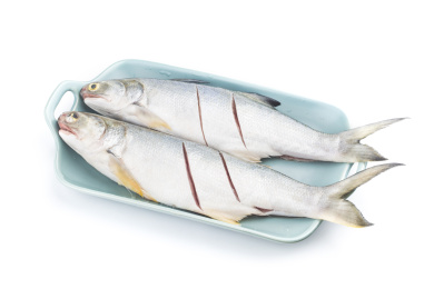 新鲜五笋鱼 午鱼 五笋鱼