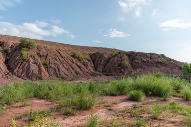 荒野土堆杂草与天空景观