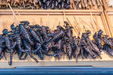 油炸蝎子串特写 蝎子串