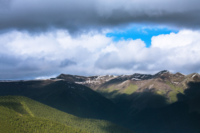 中国西藏林芝地区鲁朗林海风景区风光