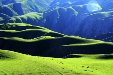 中国新疆伊犁喀拉峻人体草原