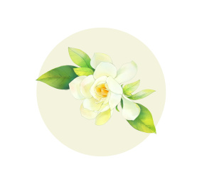 古风插画栀子花