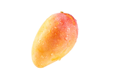 新鲜芒果贵妃芒白底