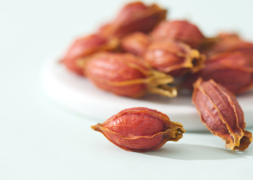 浅色背景中的栀子