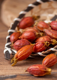 木纹背景中的栀子