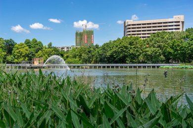 广东中山市岐江公园城市风光