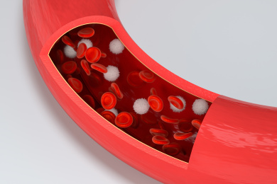 血管内的红细胞与白细胞 3D渲染