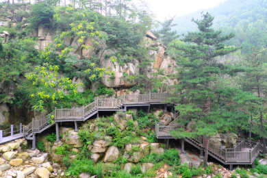 山东泰安泰山玉泉寺夏季栈道
