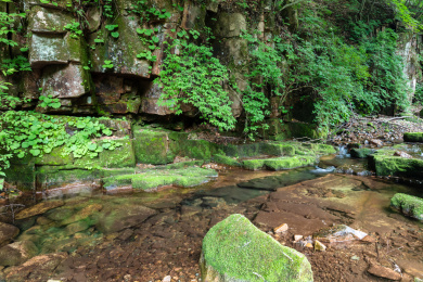 辽宁本溪桓仁枫林谷溪流风光