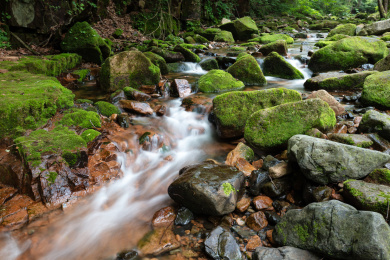 辽宁本溪桓仁枫林谷溪流风光