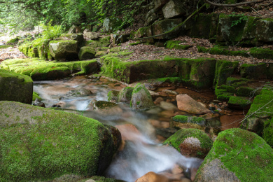 辽宁本溪桓仁枫林谷溪流风光