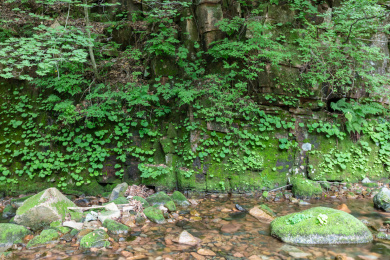 辽宁本溪桓仁枫林谷溪流风光