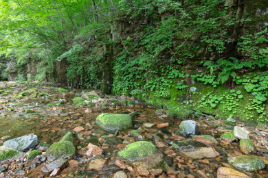 辽宁本溪桓仁枫林谷溪流风光