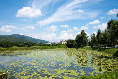 中国广东珠海市斗门区著名古村接霞庄风光